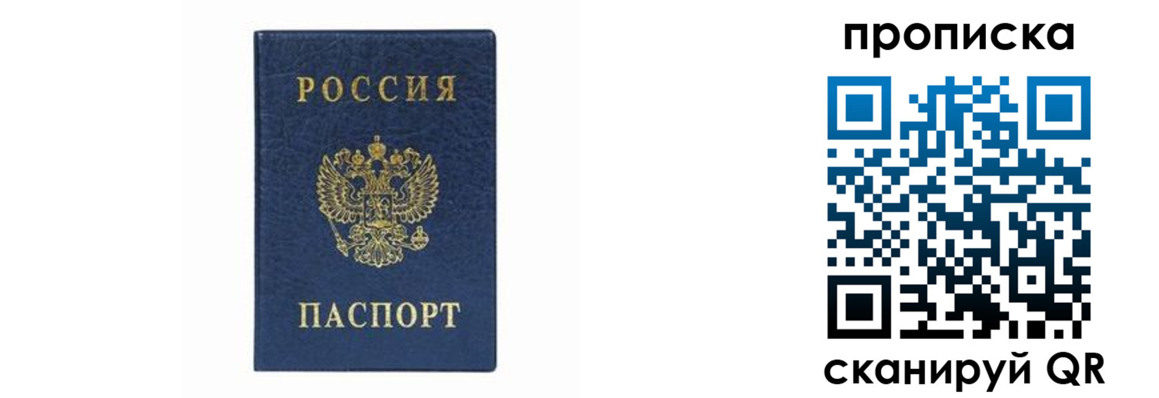 временная регистрация поиск в Миассе